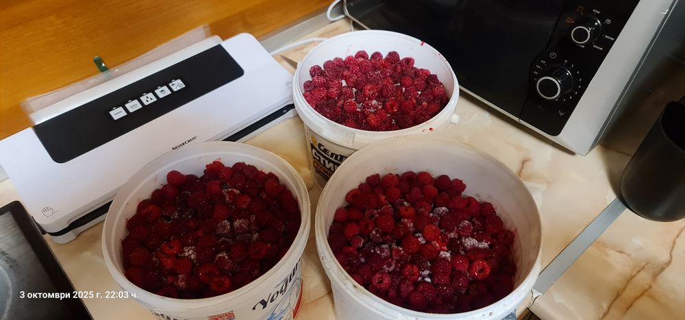 Продавам разсад малини сорт Люлин