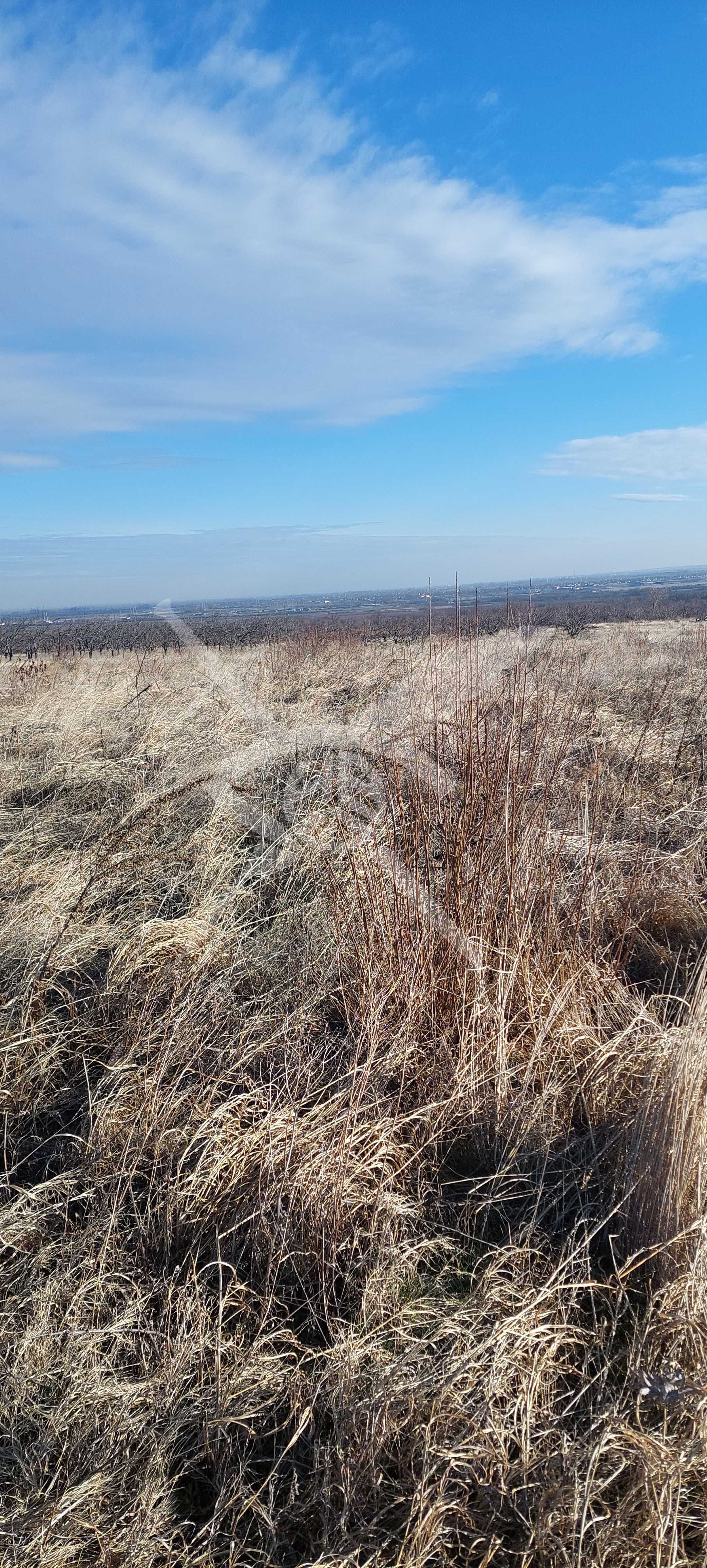 Парцел в с.Брестник 38611