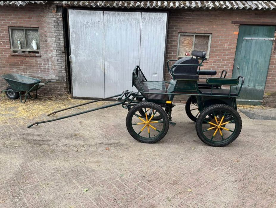 Trăsură 4 locuri