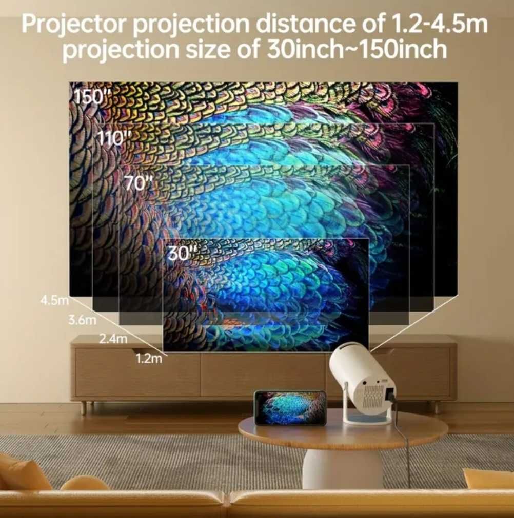 Мултимедия проектор, Projector