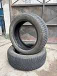 Зимни гуми Firestone 205/55/16