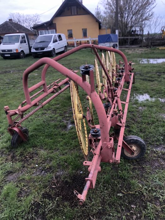 Grebla raza soarelui