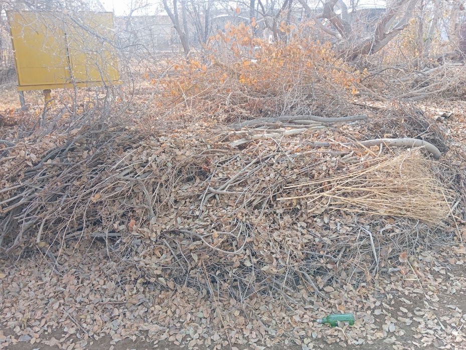 У́тинлар сотилоди