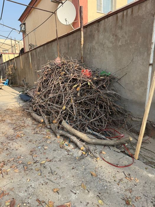 Дрова Отын Дрова