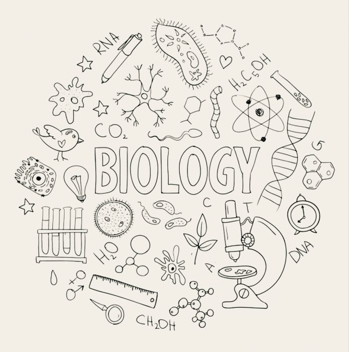 Meditatii biologie anatomie bac