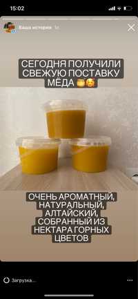 Продам Алтайский мед