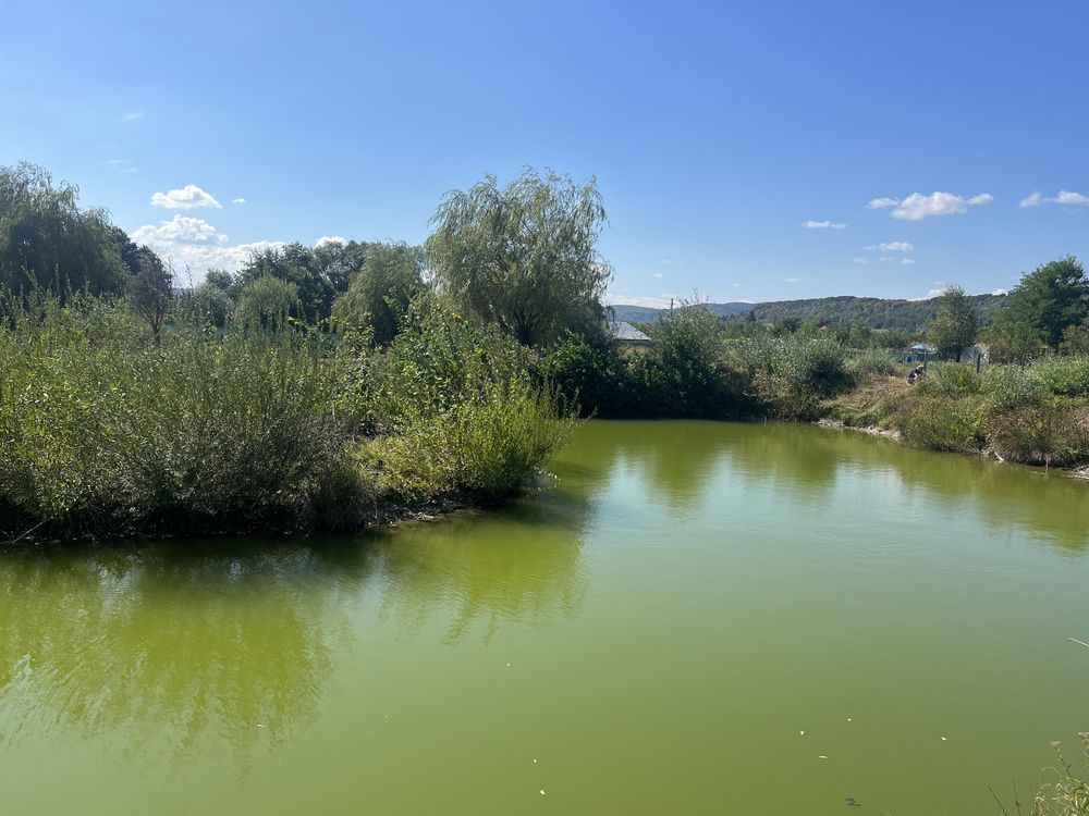 Vand lac de peste in comuna Stilpeni, jud arges