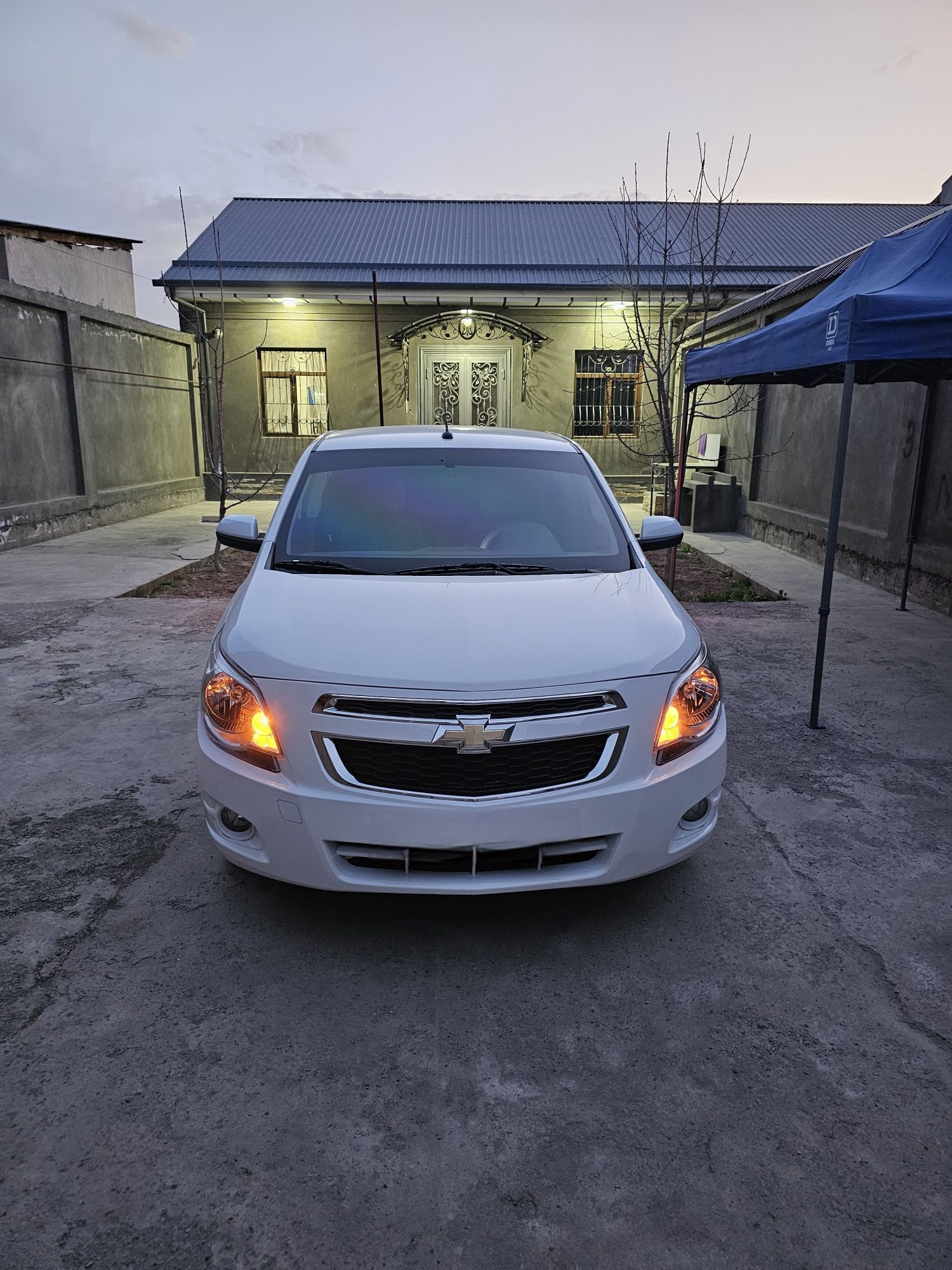 Сдам в аренду с выкупом Кобальт Автомат 2022