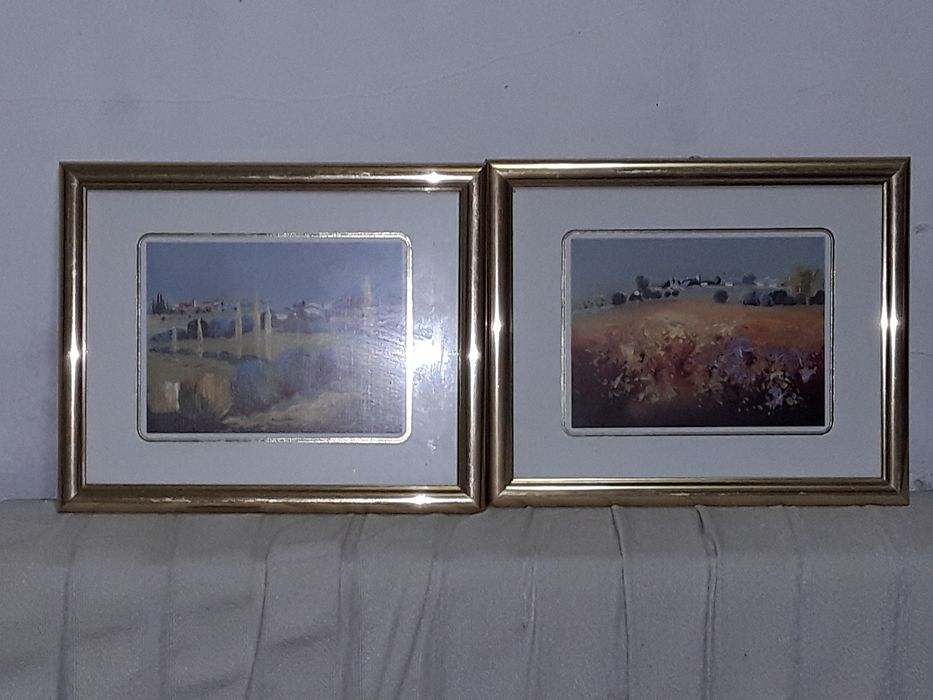 Tablouri  inramate reprezinta peisaje 2 color si 4in tus. saje , p
