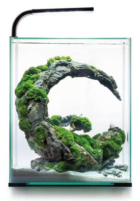 Аквариум Aquael Shrimp Set 10