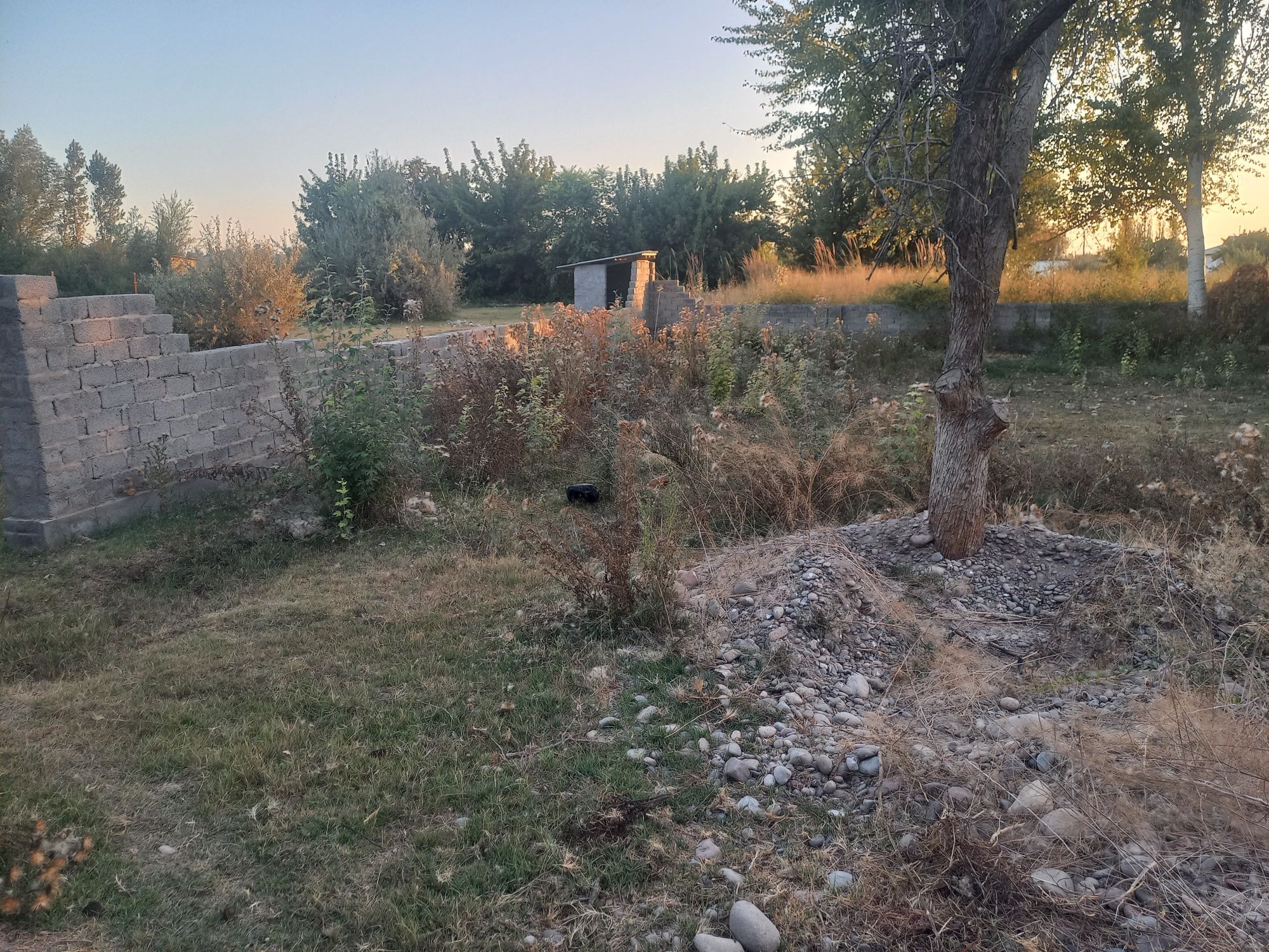 Yangiyol tumani Xalkabot olma uzim bogi