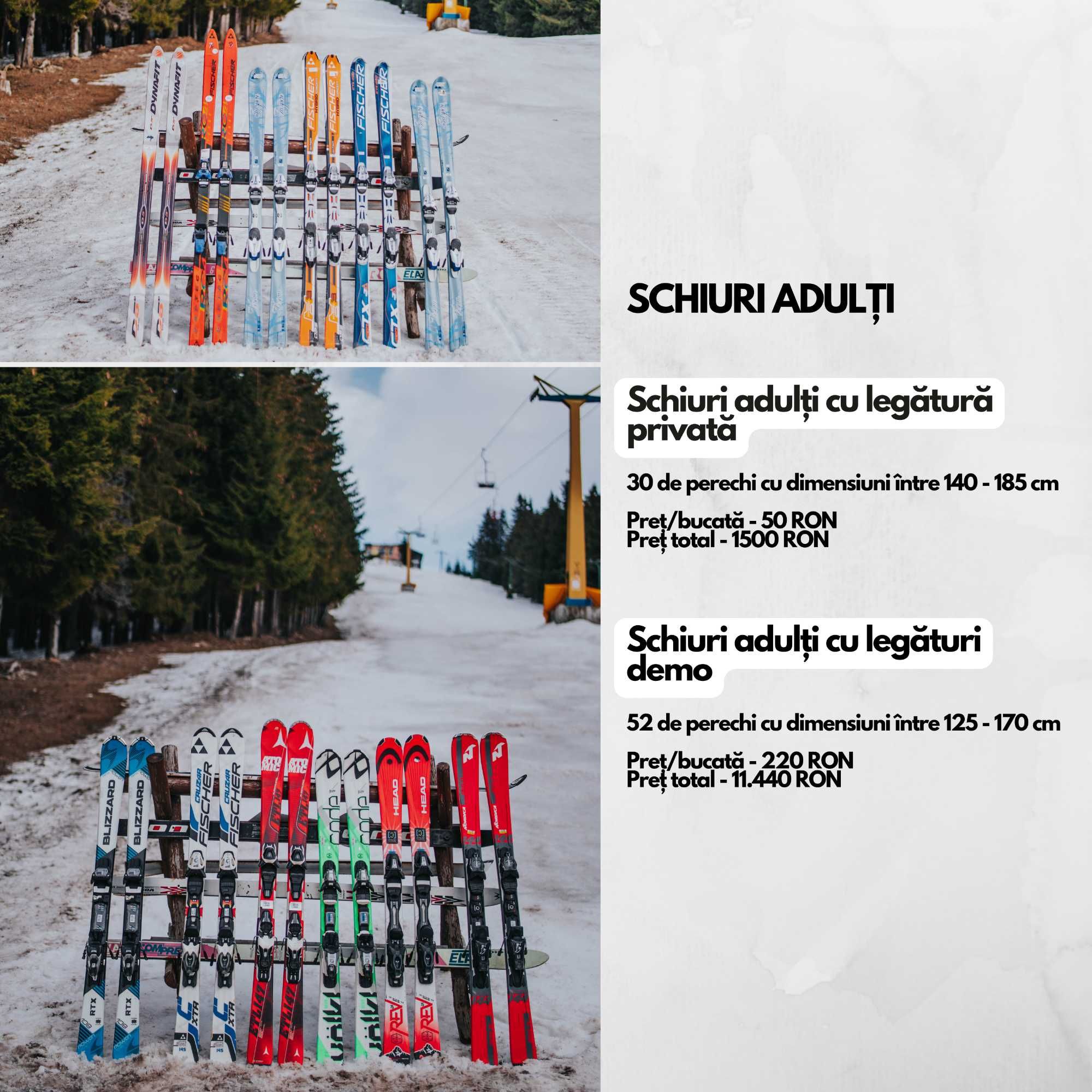 Echipament Ski/Schi și Snowboard En-gros