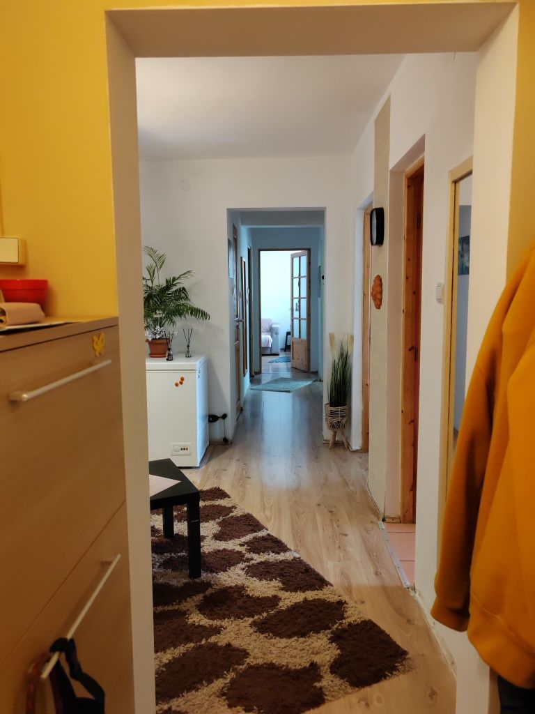 Apartament 3 camere