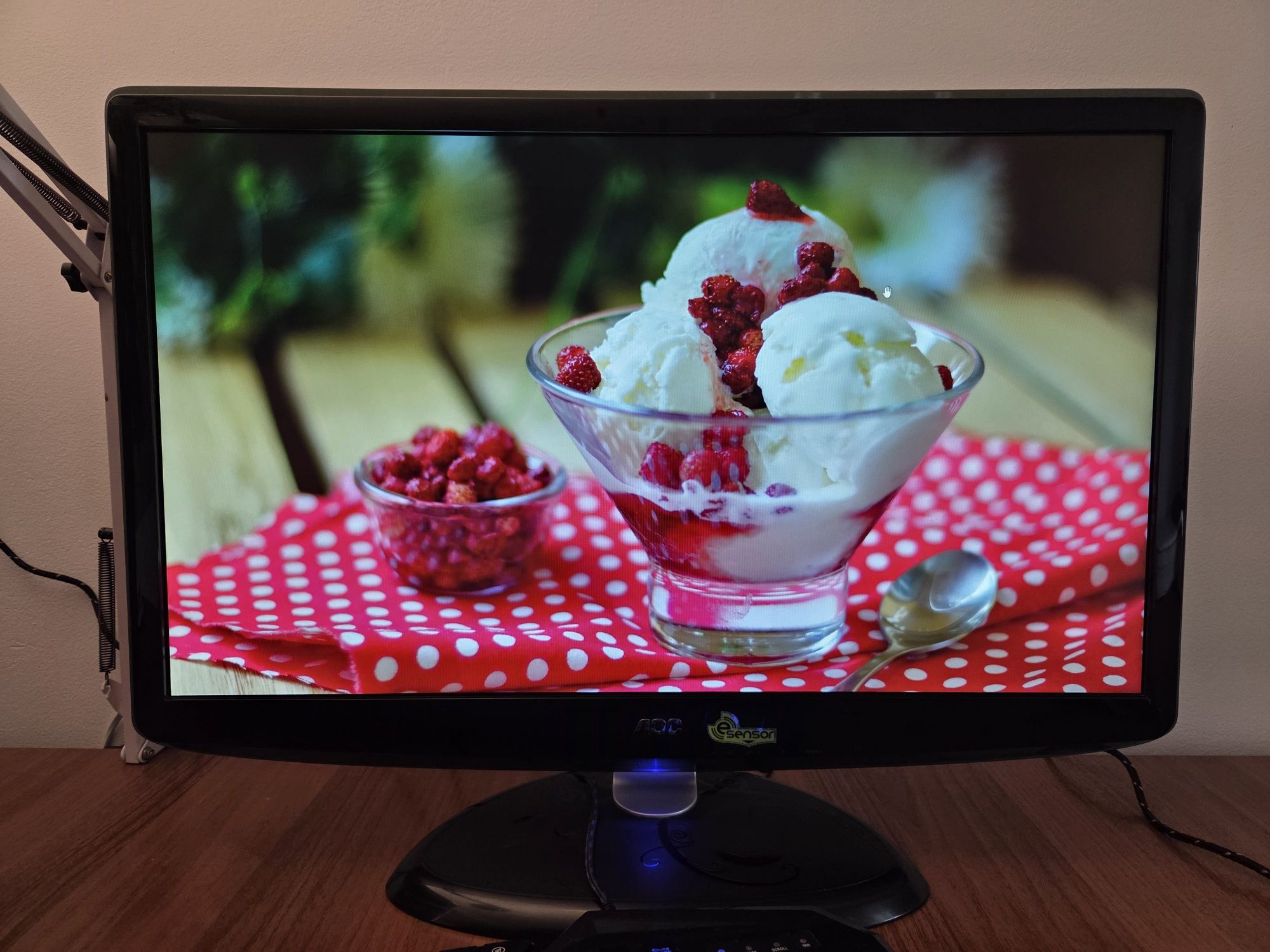 Монитор AOC 24" e2440V FHD 60Hz
