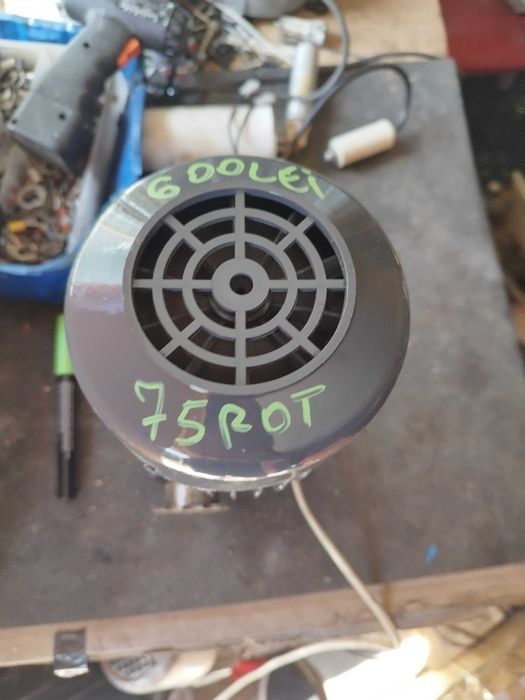 Motor cu reductor 75 rpm
