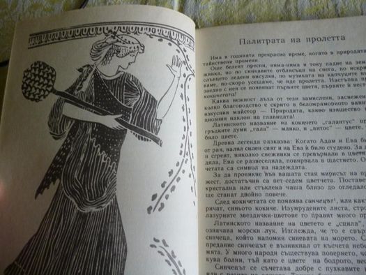 Дъга от цветя - Евгения Черней, Леонила Ширева