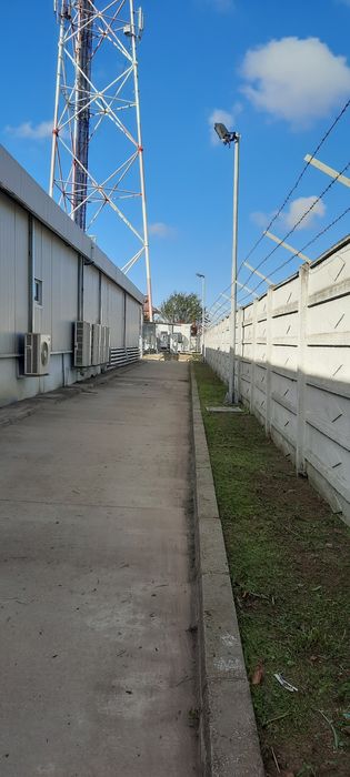 Curatenie gradini terenuri