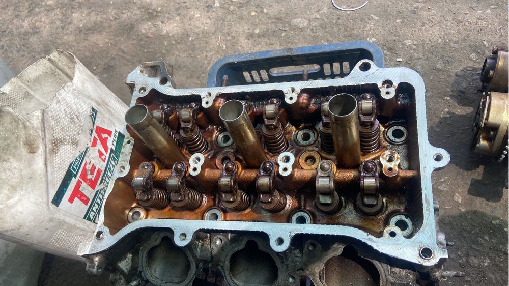 Галовка камри