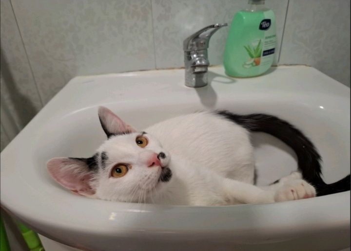 Майкъл търси своето семейство :)