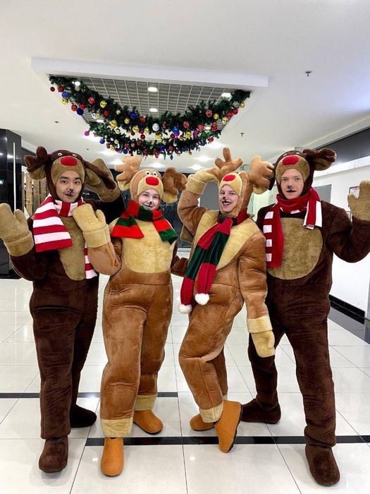 Сказочные новогодние аниматоры