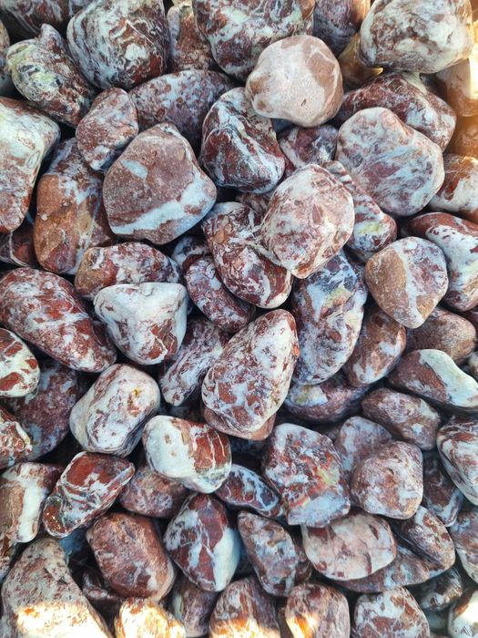 Piatra Naturala Decorativa, Gabioane, Pasi Japonezi