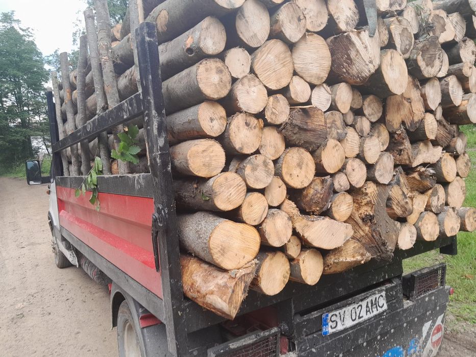 Lemne de foc la domiciliu