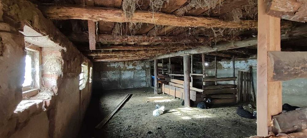 Сдаю в аренду жив. базу