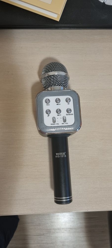 Wster microphone тонколона