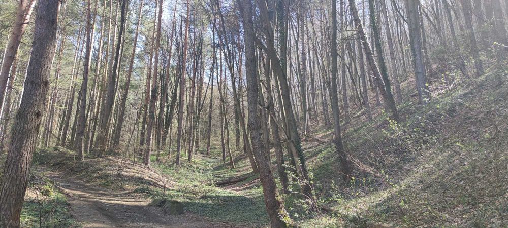 Продава се Парцел в София, Бояна - 18000 кв.м за 5 €/кв.м - Снимка #11