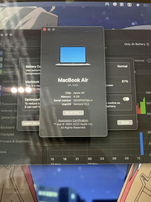 MacBook Air M1 8/256