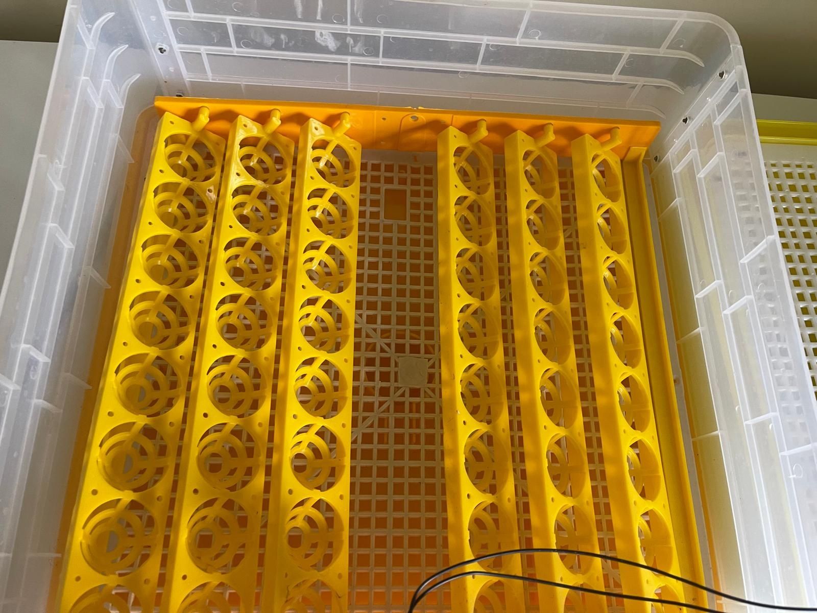 Vând clocitoare/incubator pentru oua