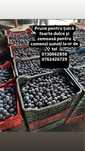 Vindem prune pentru tuica