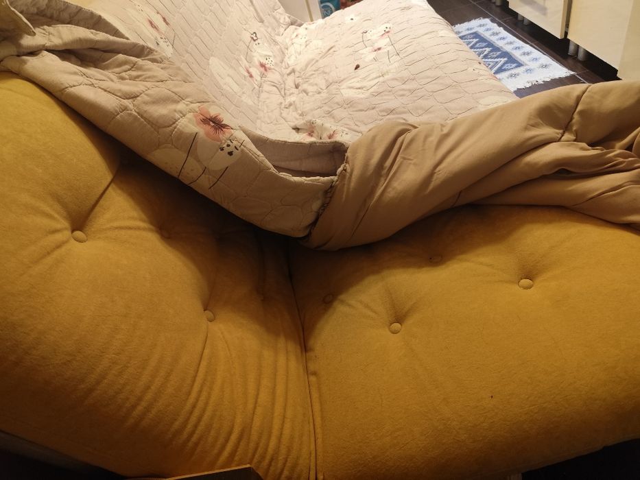 Canapea extensibilă din Metal foarte întreținută curată 2 Metri