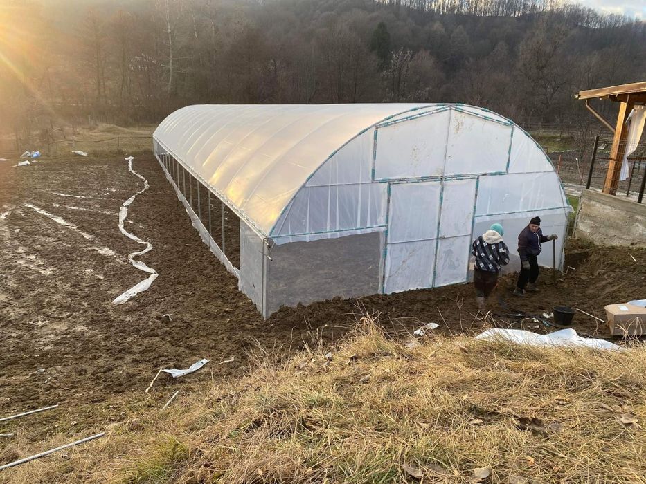 Solarii Legume  si Flori