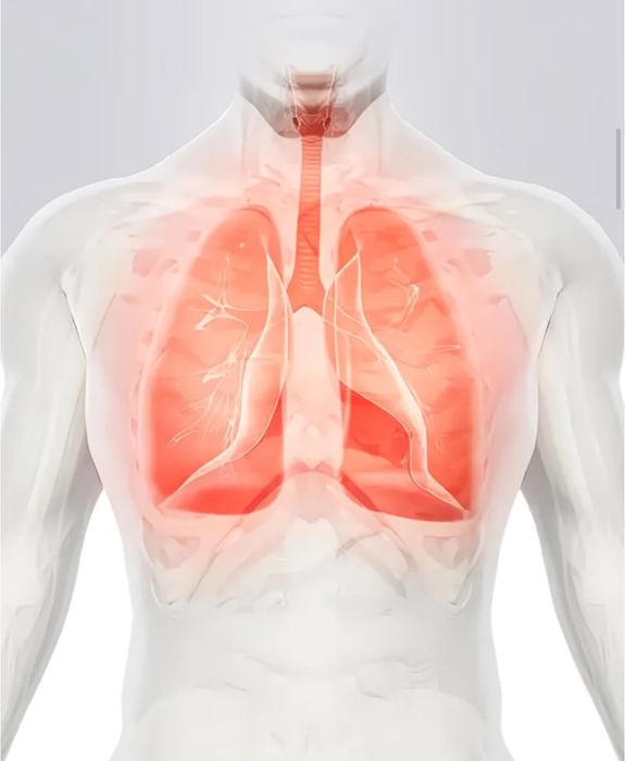 Защитная Маска KN95 (10 штук)