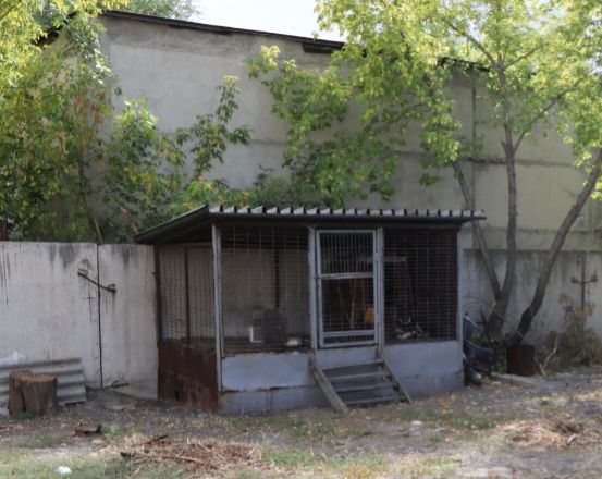 Вольер для большой собаки с будкой