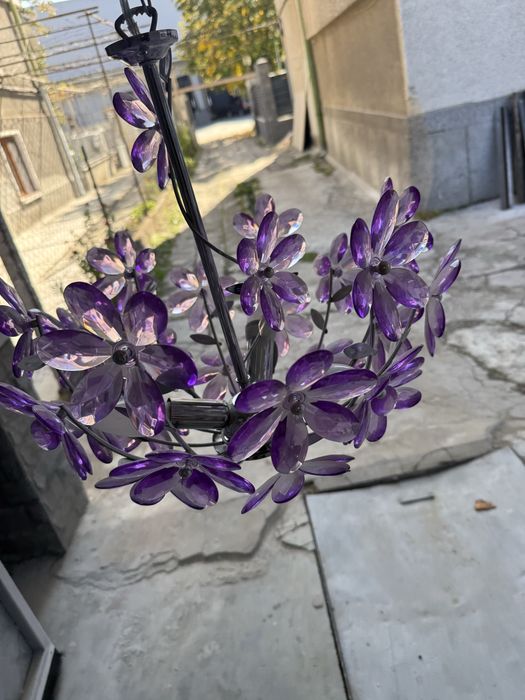 Полюлей и лампиони