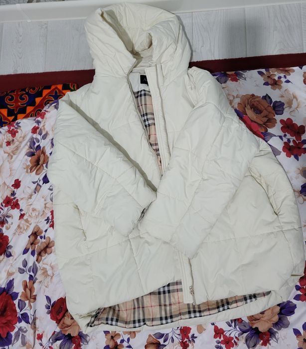 Арзан берип жиберем