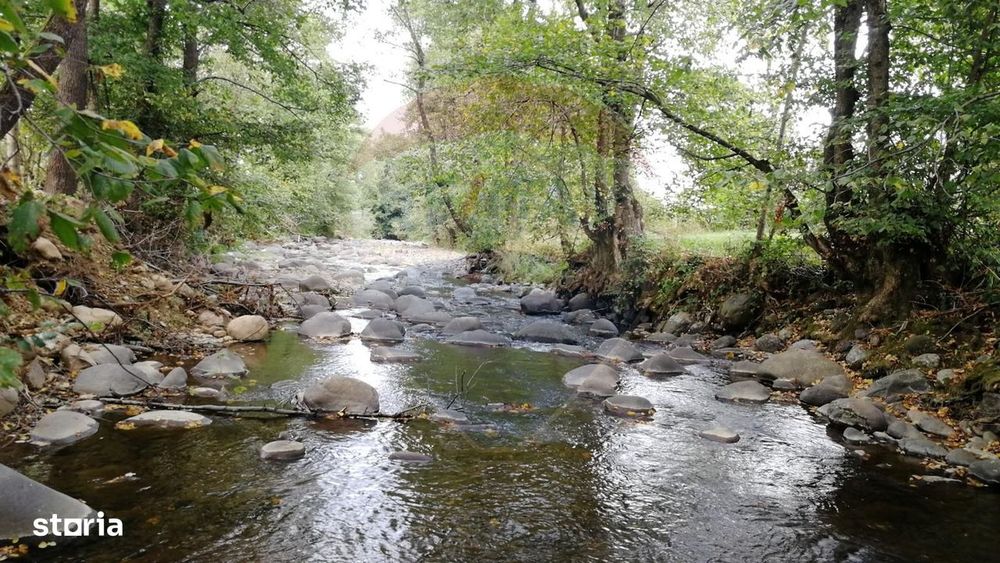 Teren 2,932mp Sarbi (Budesti) / Drumul Principal