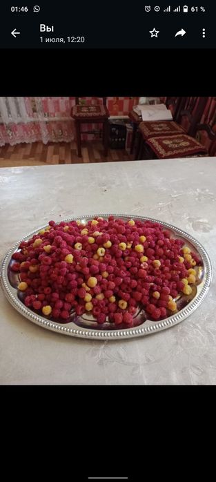 Продам картошку и малиновые варенье.сущеные петрушкуиновые варенье