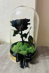 Trandafir criogenat negru XXL