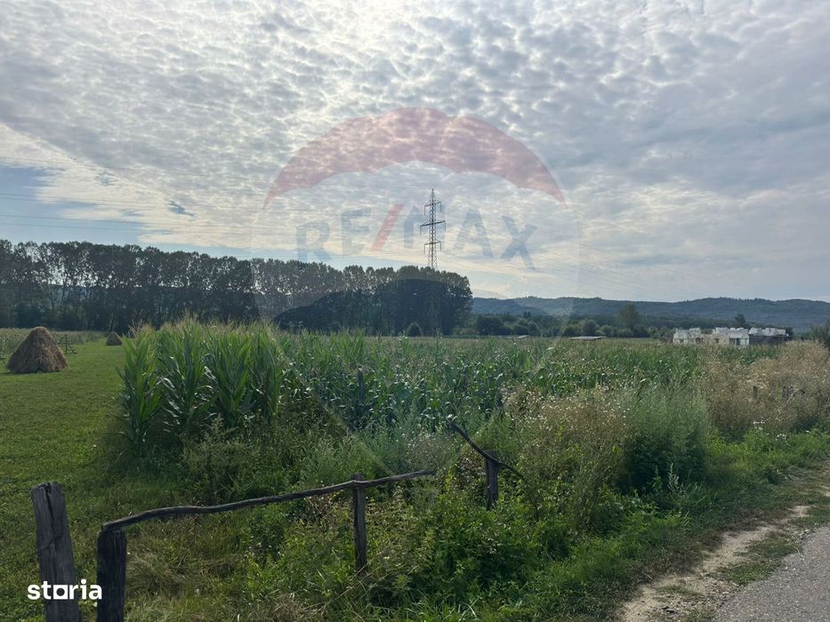 Teren de vânzare – Valea Bradului, oportunitate de investiție!