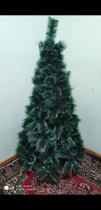 Срочно!  Янги йил Ёлкаси сотилади