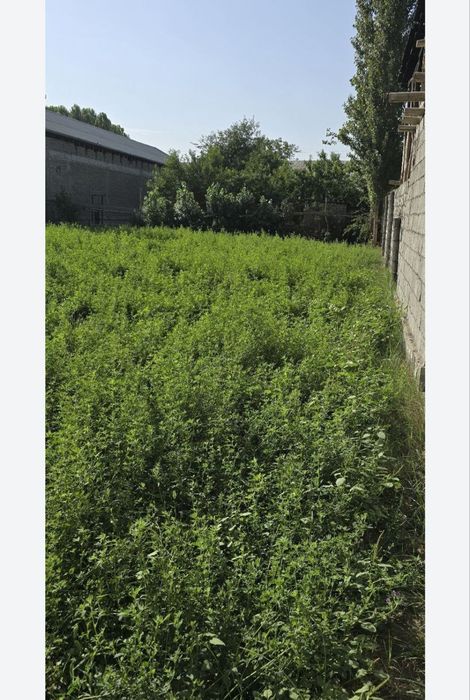 Yer uchastka sotiladi