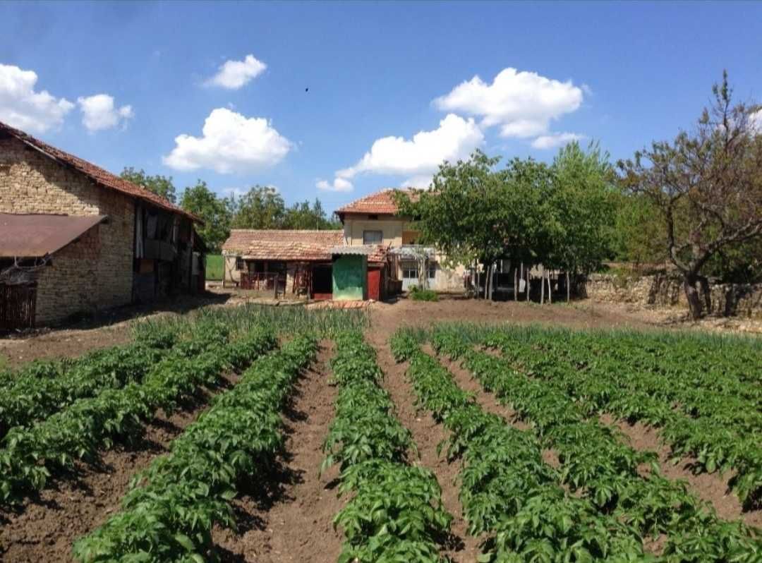 Къща в Горна Липница