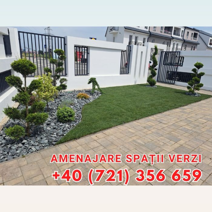 Brazi tuia maslini palmieri pohtinia bosai spirale magnoli arțari etc