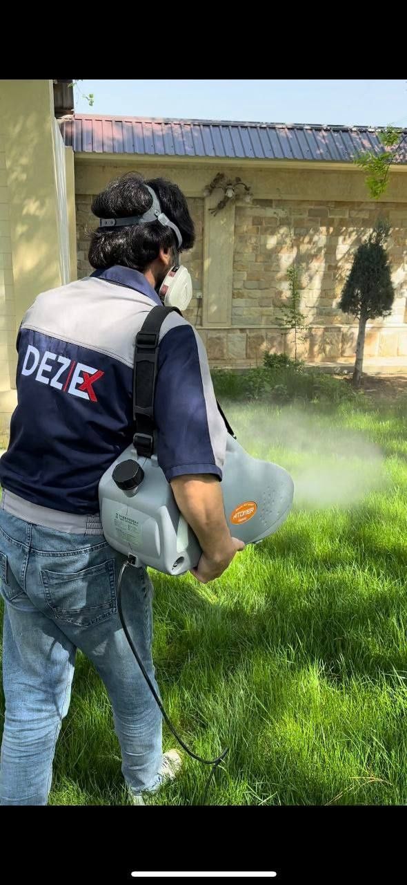 Dezinfeksiya дезинфекция 24/7
