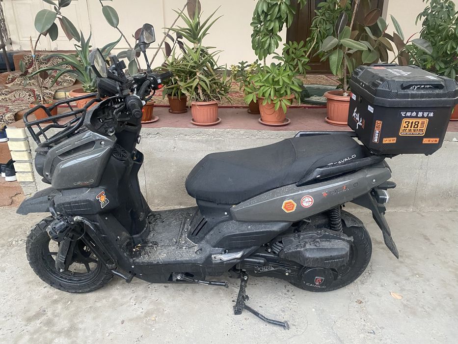 Tank skiteri holati zor sirochna pul kk sotlyapt