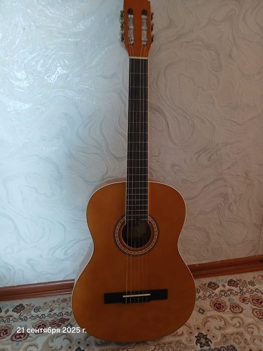 Продам гитару с чехлом