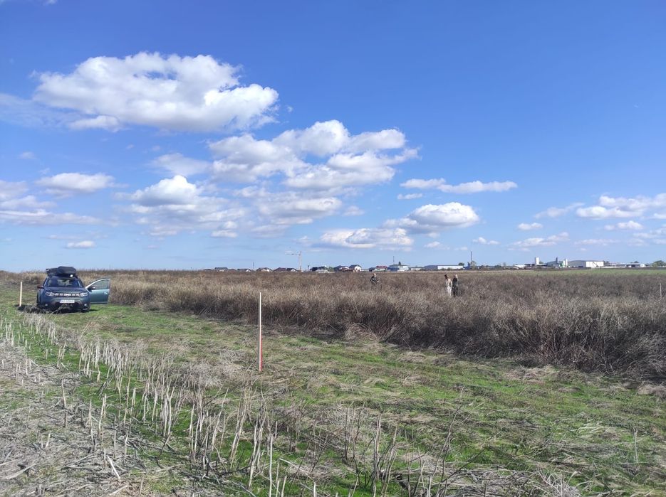 500 mp Măgurele Str. Rocadei